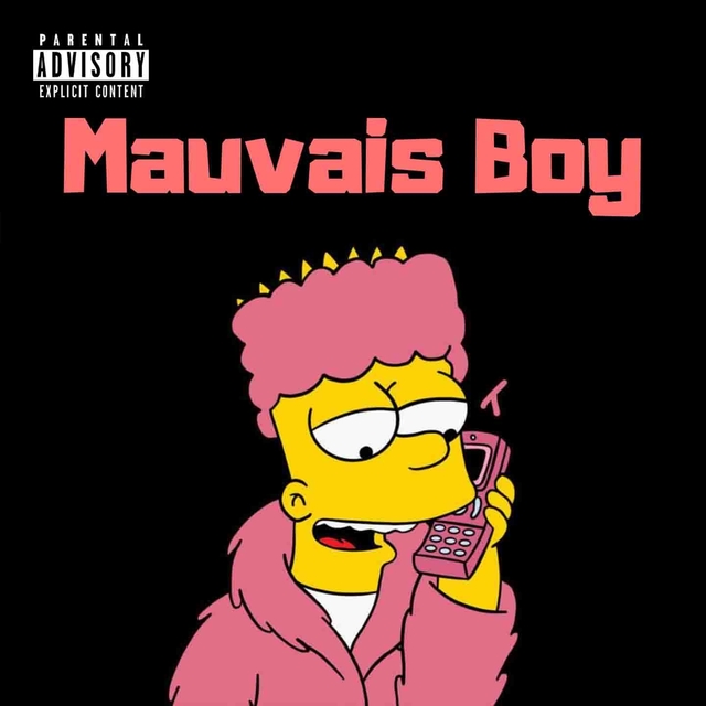 Couverture de Mauvais boy