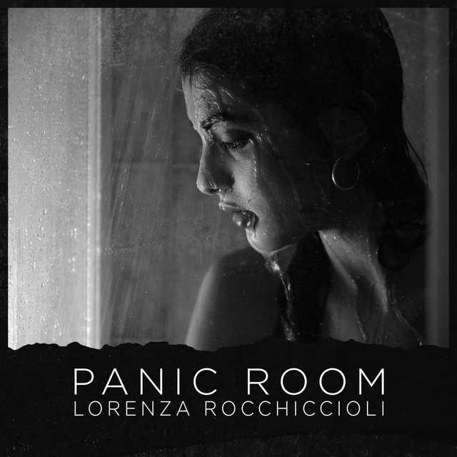 Couverture de Panic room