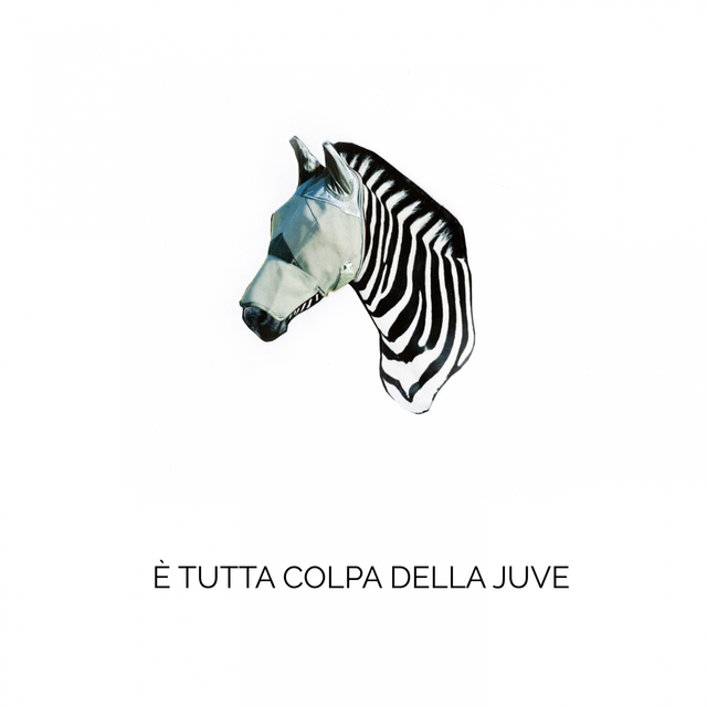 Couverture de E' tutta colpa della Juve