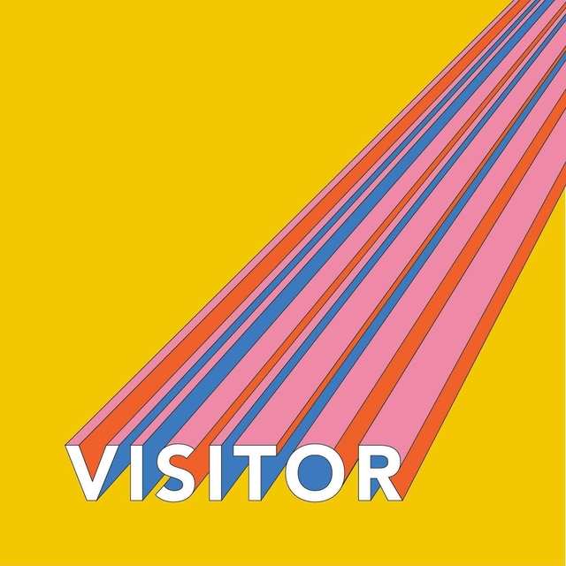 Couverture de Visitor