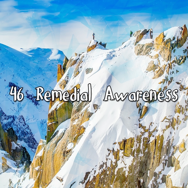 Couverture de 46 Remedial Awareness