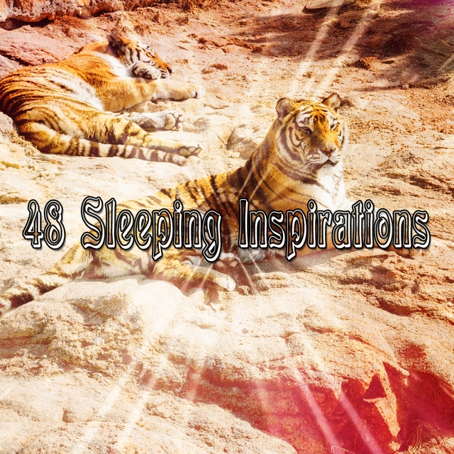 Couverture de 48 Sleeping Inspirations