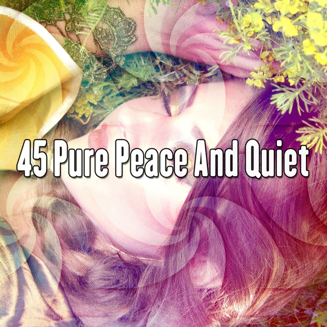 Couverture de 45 Pure Peace And Quiet