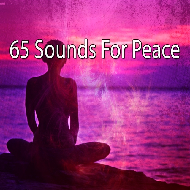 Couverture de 65 Sounds For Peace