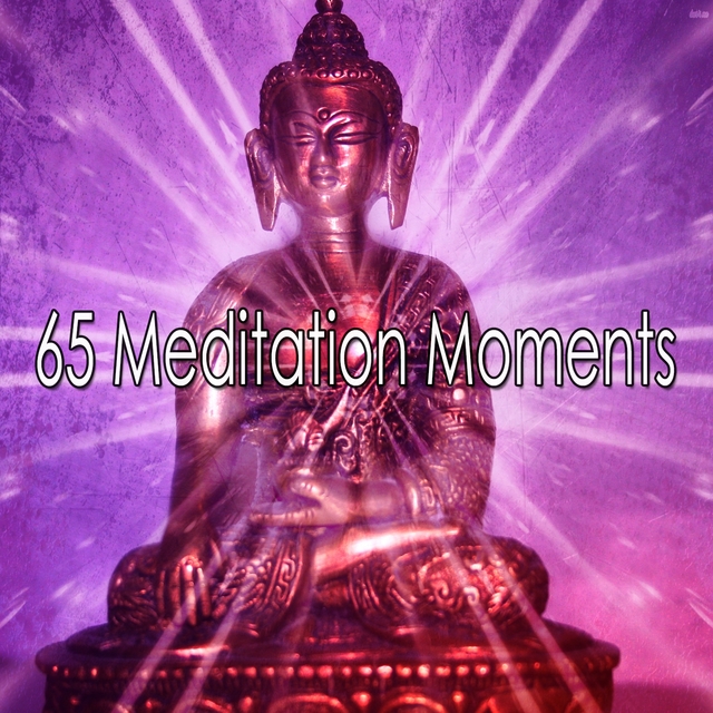 65 Meditation Moments