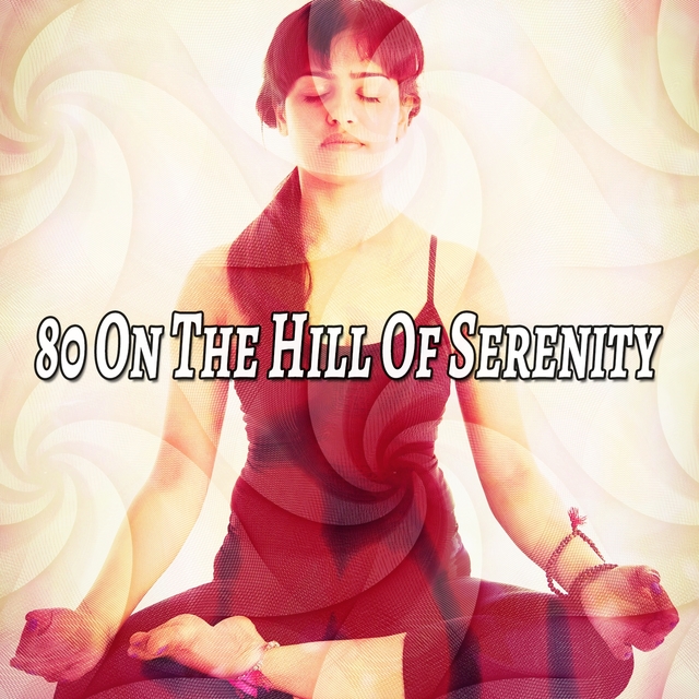 Couverture de 80 On The Hill Of Serenity