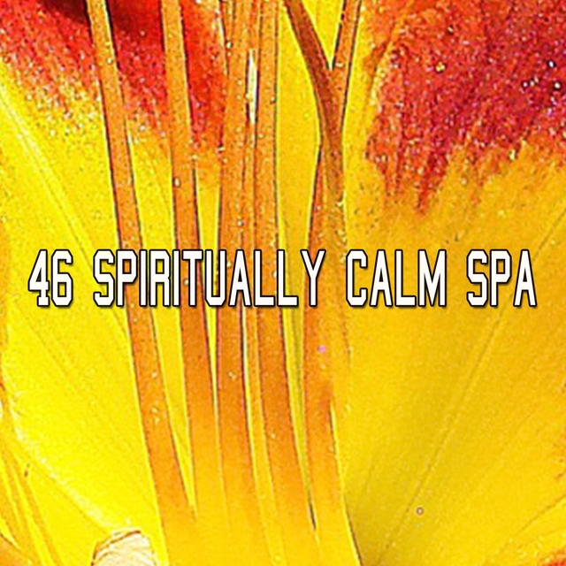 Couverture de 46 Spiritually Calm Spa