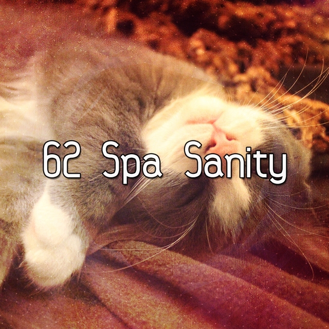 Couverture de 62 Spa Sanity