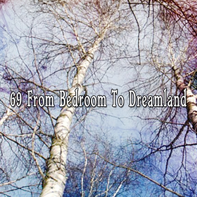 Couverture de 69 From Bedroom To Dreamland