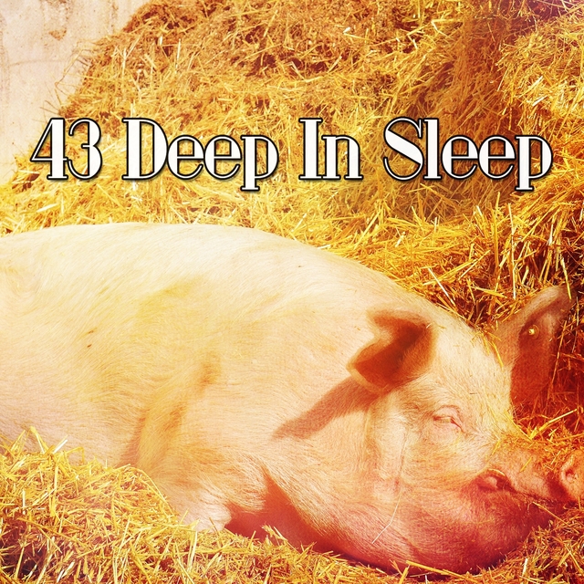 Couverture de 43 Deep In Sleep