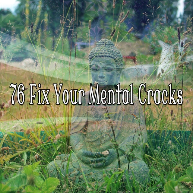 Couverture de 76 Fix Your Mental Cracks