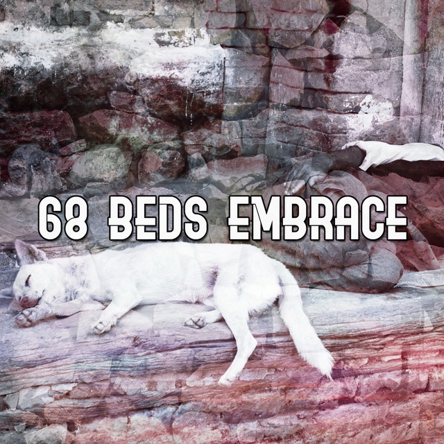 Couverture de 68 Beds Embrace