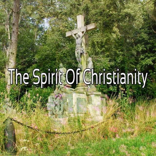 Couverture de The Spirit Of Christianity