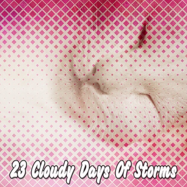 23 Cloudy Days Of Storms