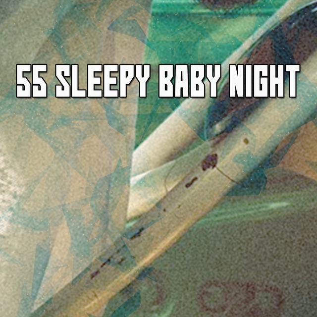 Couverture de 55 Sleepy Baby Night