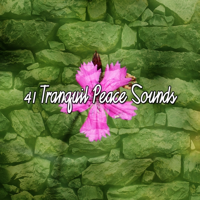 41 Tranquil Peace Sounds