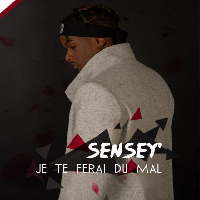 Couverture de Je te ferai du mal