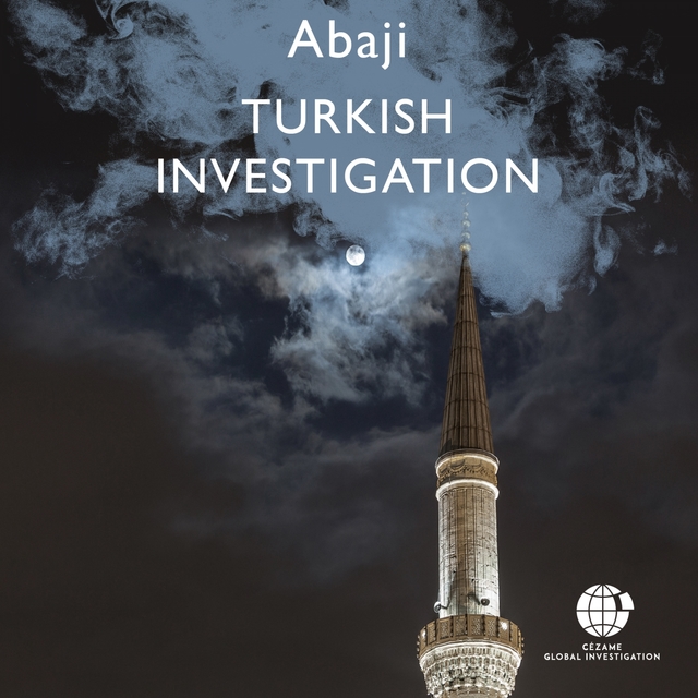 Couverture de Turkish Investigation