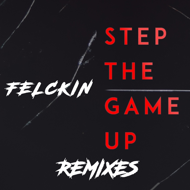 Couverture de Step the Game up Remixes