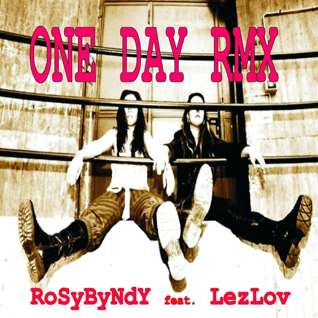 Couverture de One Day