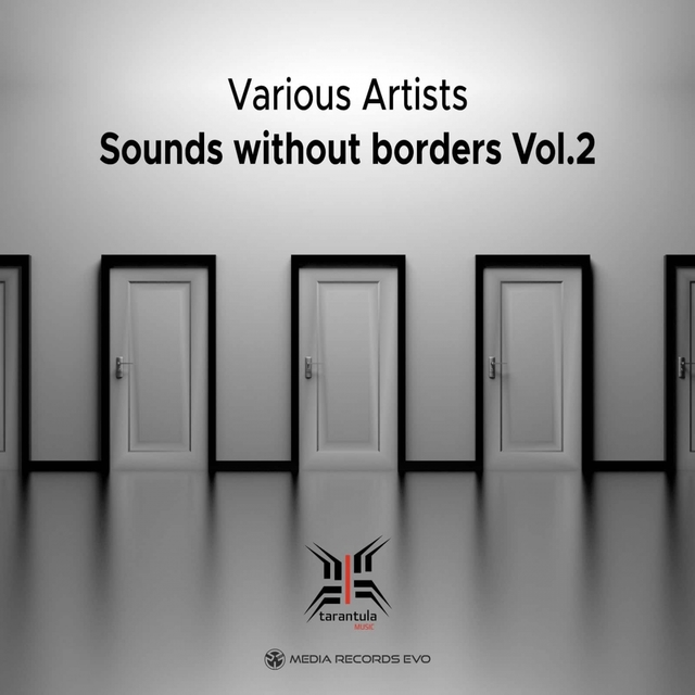 Couverture de Sounds Without Border, Vol.2