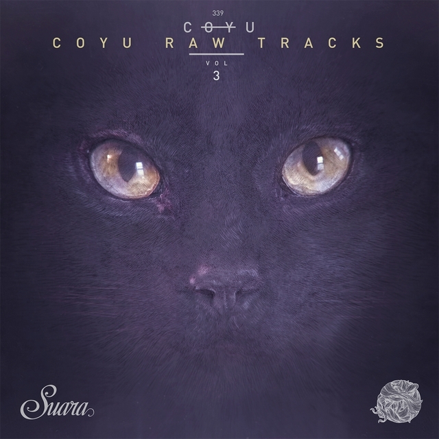 Couverture de Coyu Raw Tracks, Vol. 3