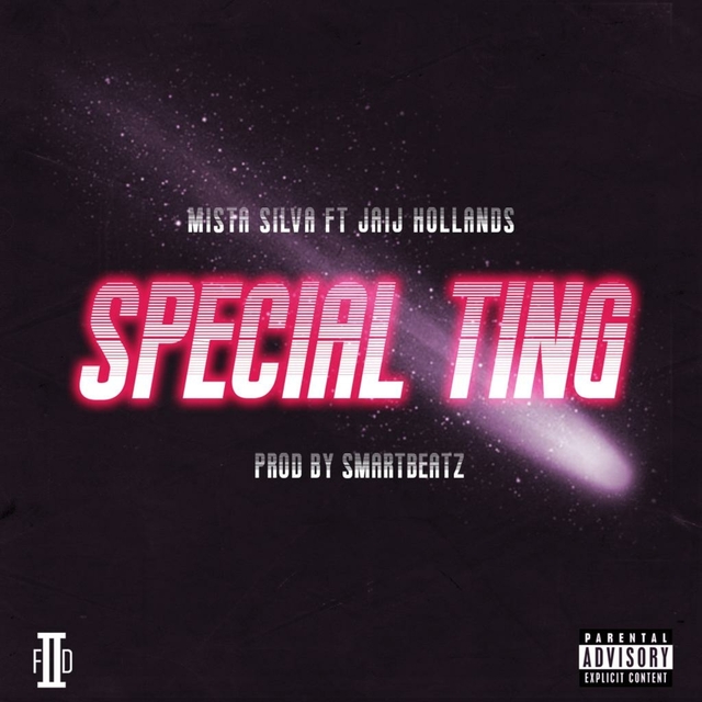 Couverture de Special Ting