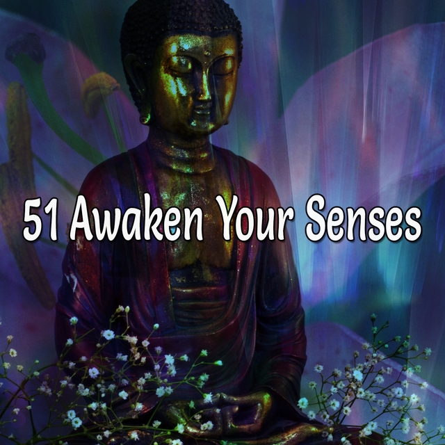 Couverture de 51 Awaken Your Senses