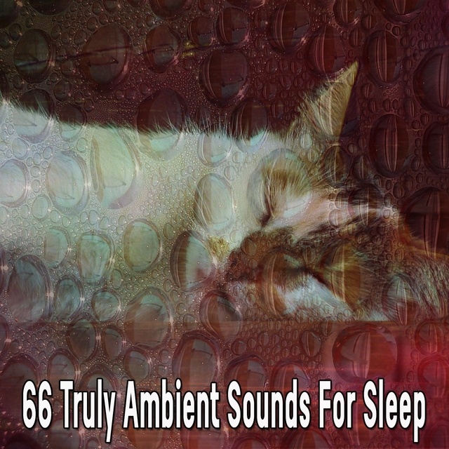 66 Truly Ambient Sounds For Sleep