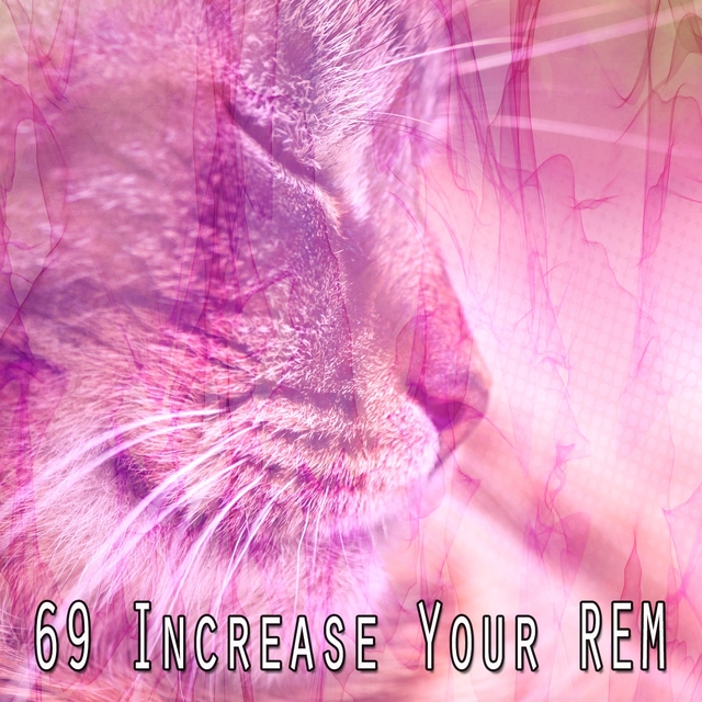 69 Increase Your REM