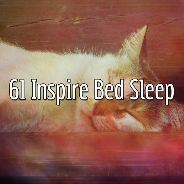 61 Inspire Bed Sleep