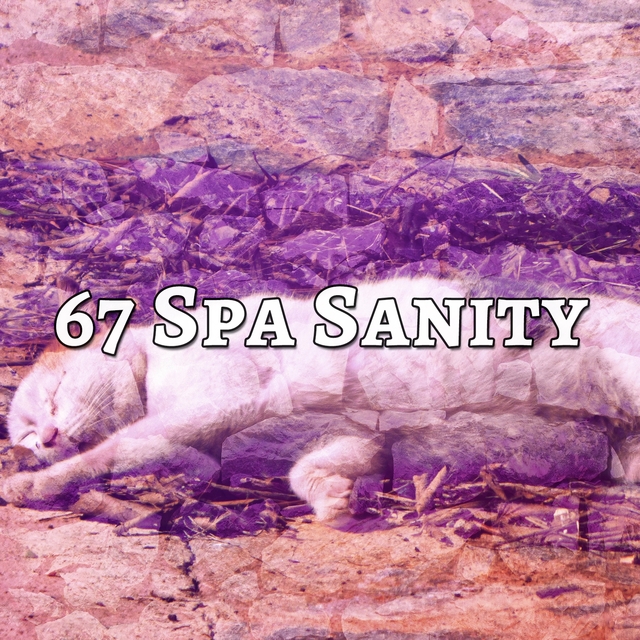 Couverture de 67 Spa Sanity