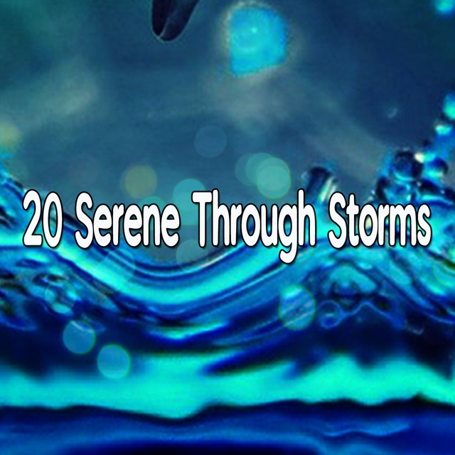 20 Serene Through Storms