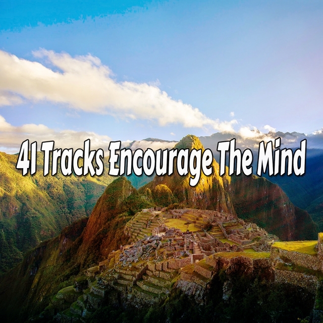 Couverture de 41 Tracks Encourage The Mind