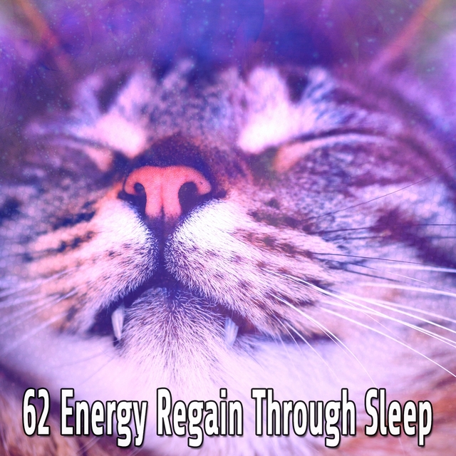 62 Energy Regain Through Sleep
