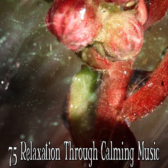 Couverture de 75 Relaxation Through Calming Music