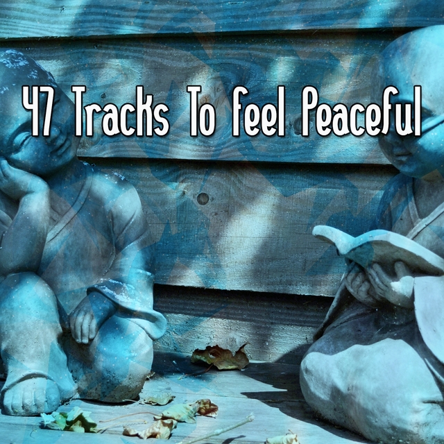 Couverture de 47 Tracks To Feel Peaceful