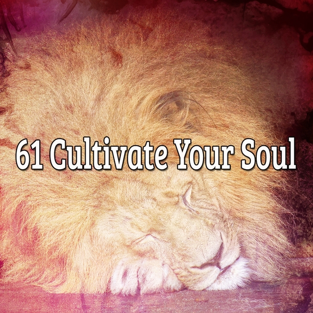 61 Cultivate Your Soul