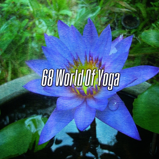 Couverture de 68 World Of Yoga