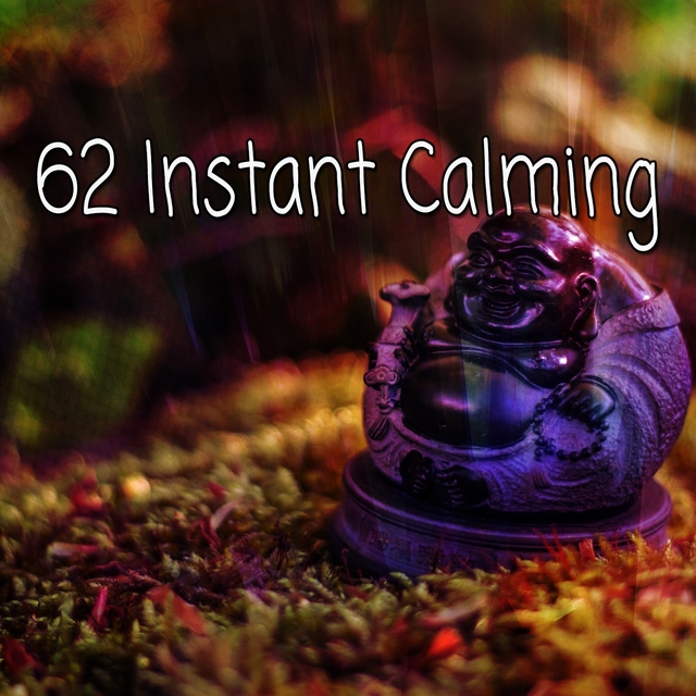 Couverture de 62 Instant Calming