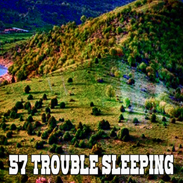 57 Trouble Sleeping