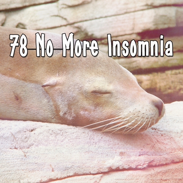 Couverture de 78 No More Insomnia