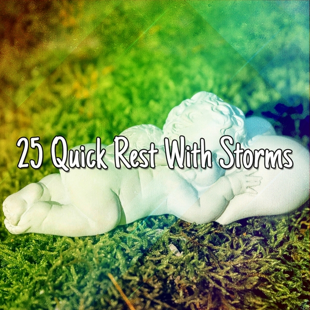 Couverture de 25 Quick Rest With Storms