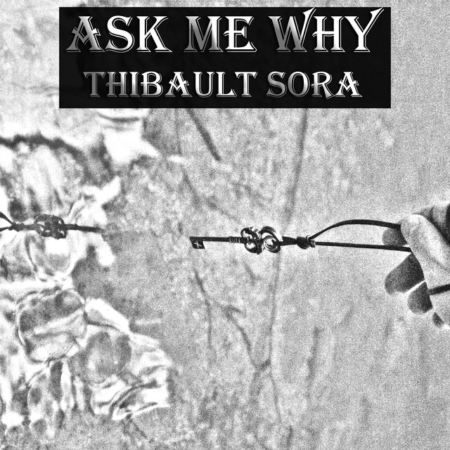 Couverture de Ask Me Why