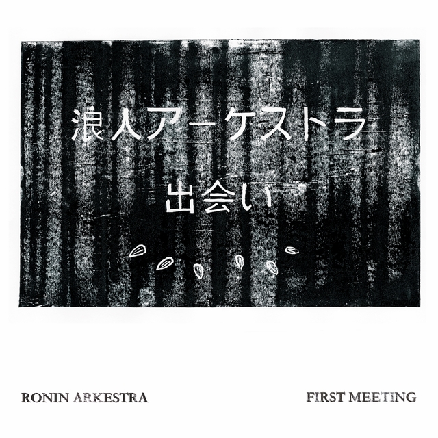 Couverture de First Meeting