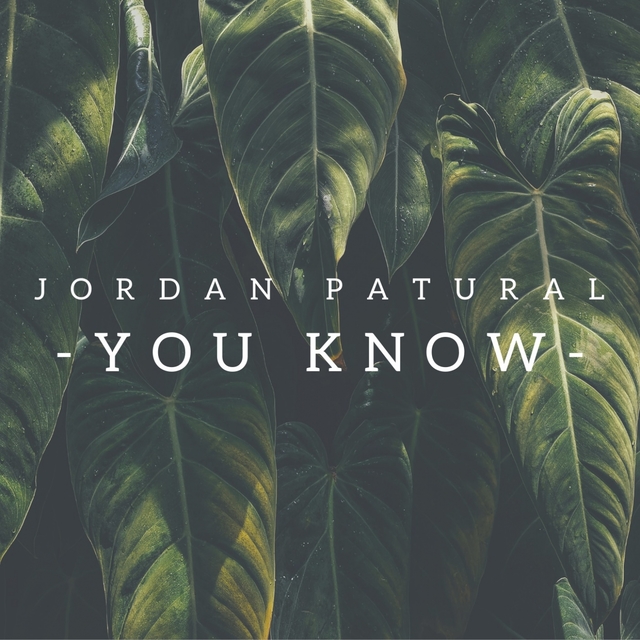 Couverture de You Know