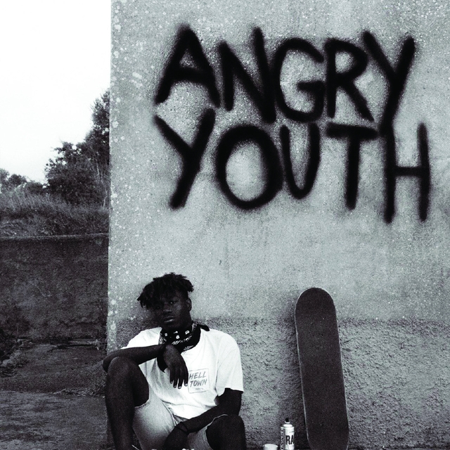 Couverture de Angry Youth