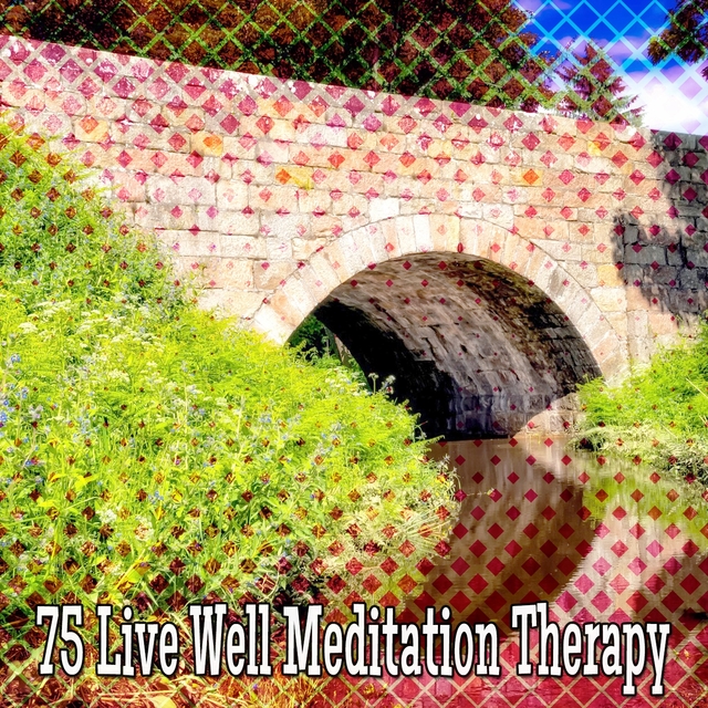 Couverture de 75 Live Well Meditation Therapy