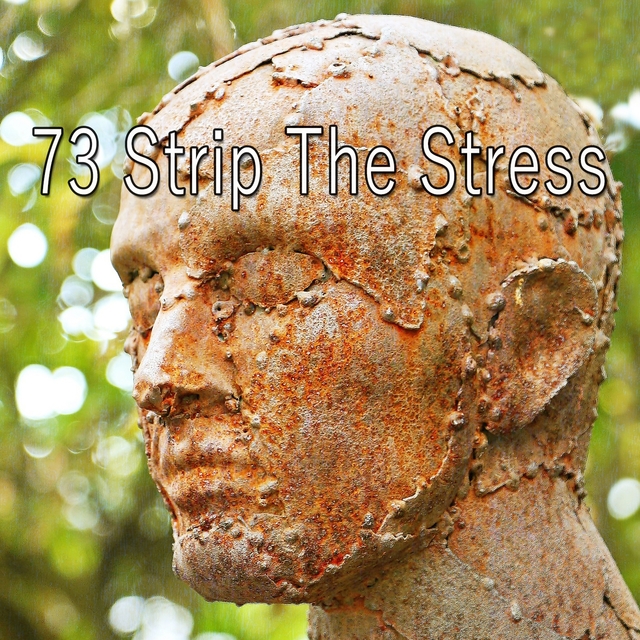 73 Strip The Stress