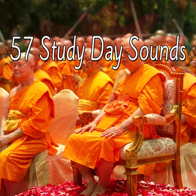 Couverture de 57 Study Day Sounds